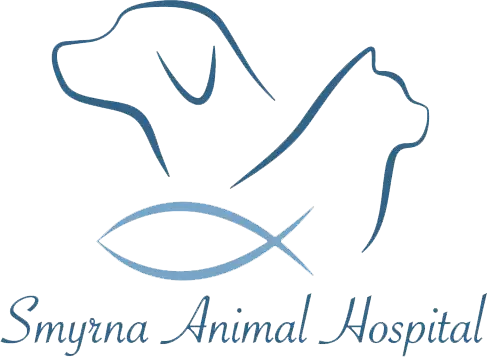 Smyrna Animal Hospital